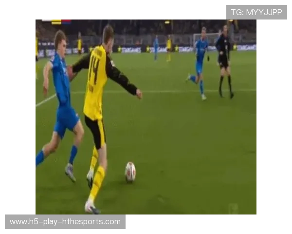 多特状态在线,海登海姆命悬一线?,多特海伦官网 多特状态在线,海登海姆命悬一线?,多特海伦官网